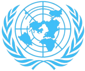 cropped unn removebg preview.png